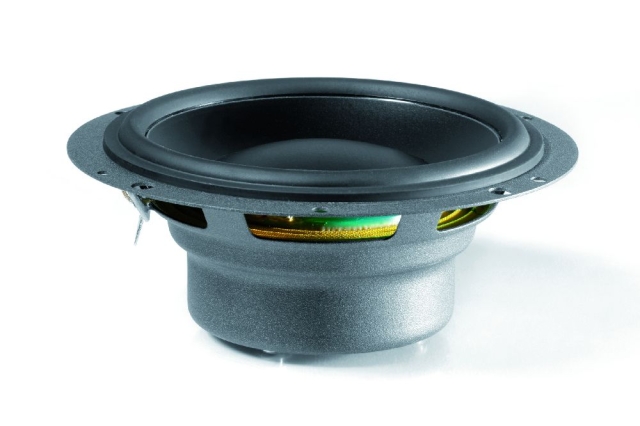 Dynaudio Esotec MW162GT
